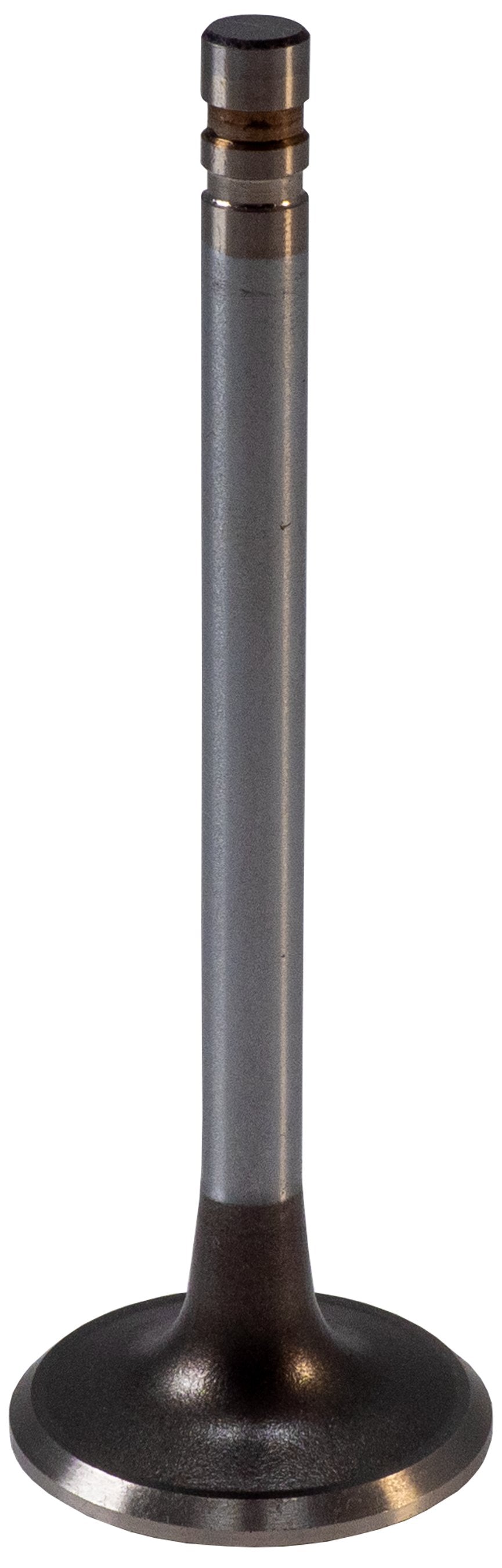 https://sdda.semadata.org/Standard/Melling Engine Parts/V1245-2-FRO.tif