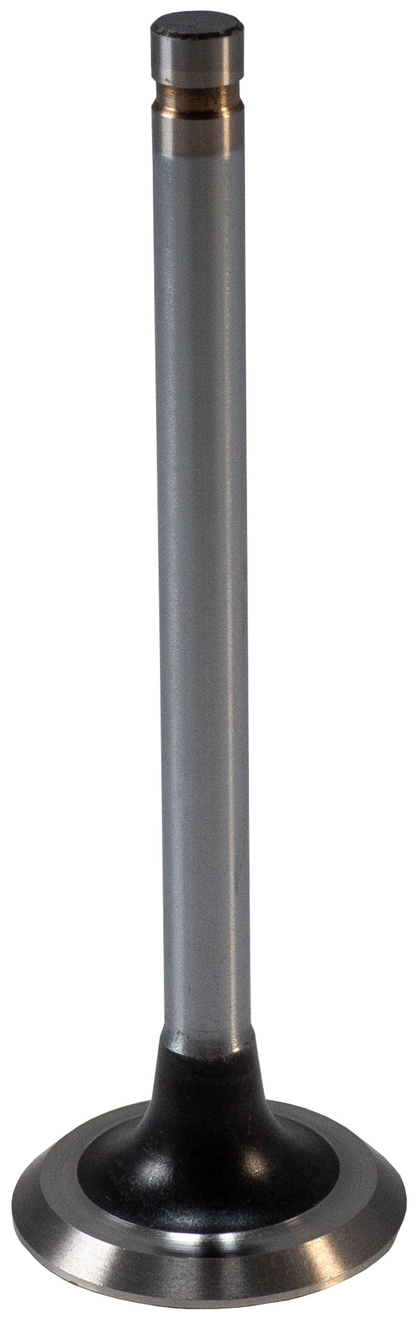 https://sdda.semadata.org/Standard/Melling Engine Parts/V1261-2-FRO.tif