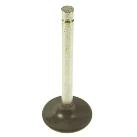 Melling Engine Intake Valve  V1328