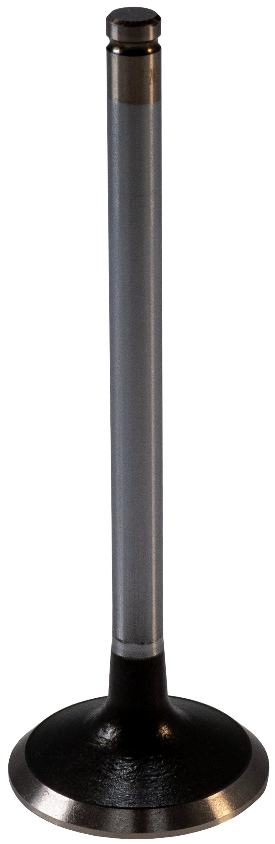 https://sdda.semadata.org/Standard/Melling Engine Parts/V1715-2-FRO.tif
