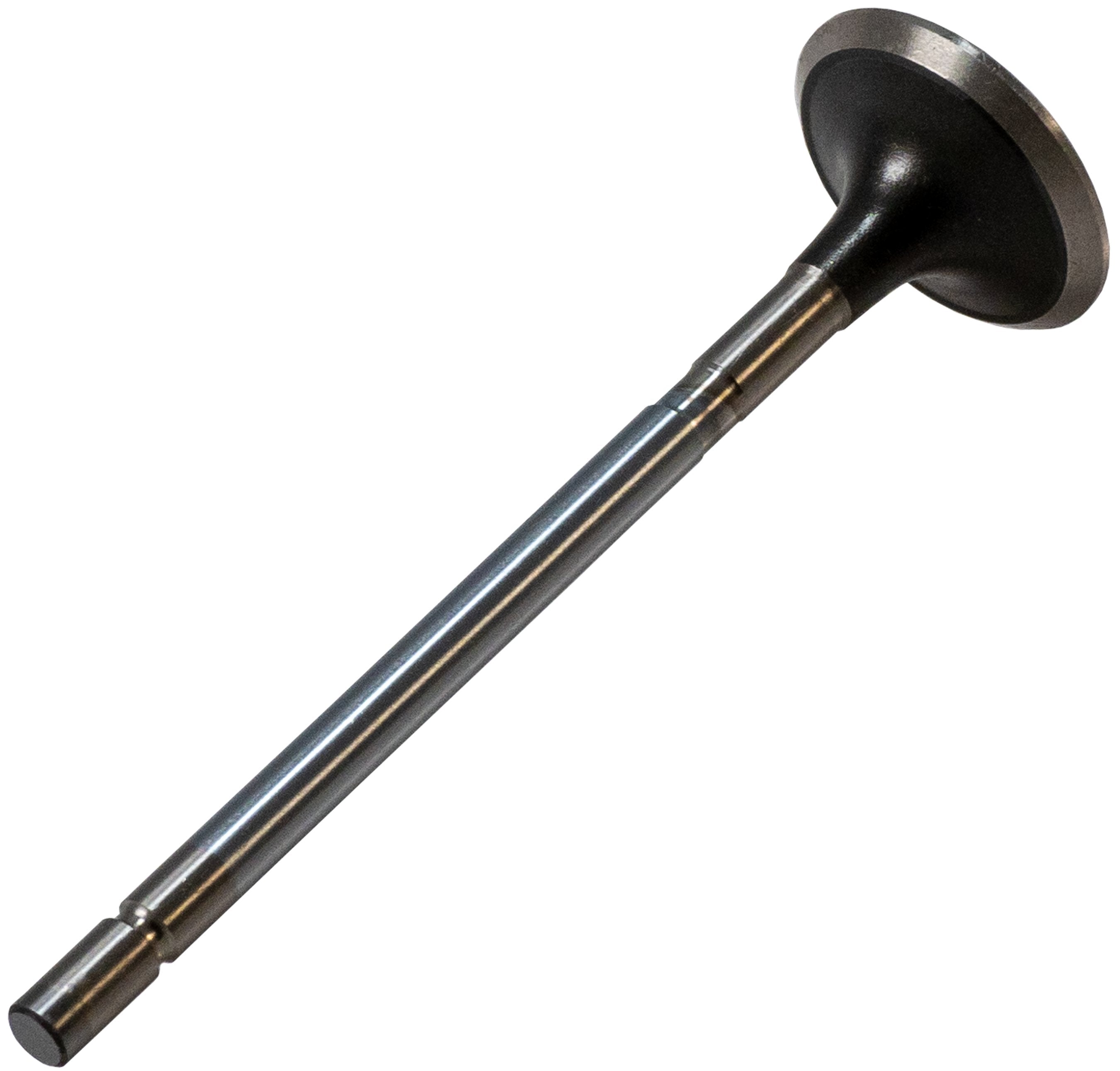 Melling Engine Exhaust Valve  V1731