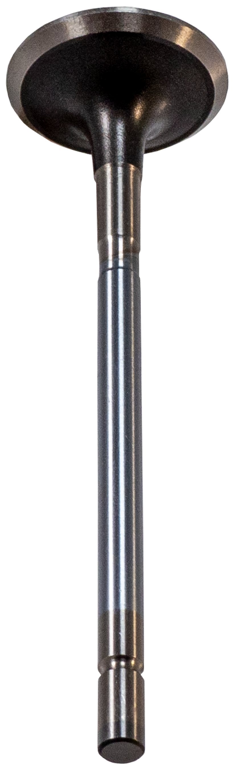 https://sdda.semadata.org/Standard/Melling Engine Parts/V1731-4-TOP.tif