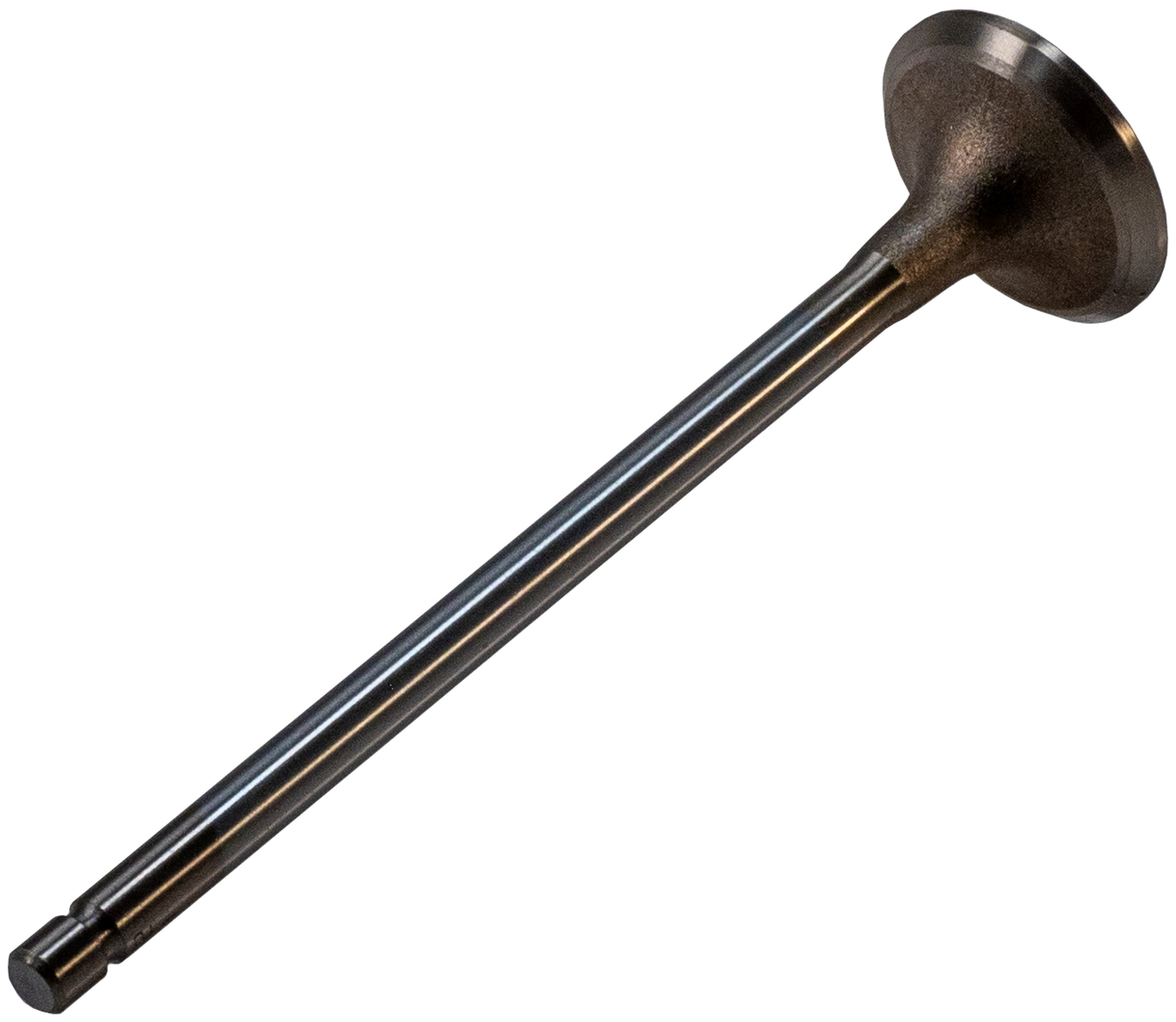 Melling Engine Exhaust Valve  V1742