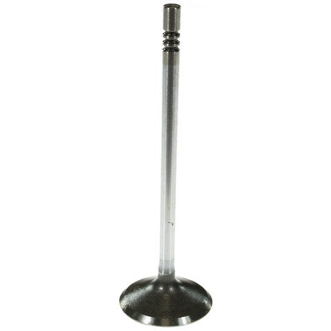 Melling Engine Intake Valve  V1787