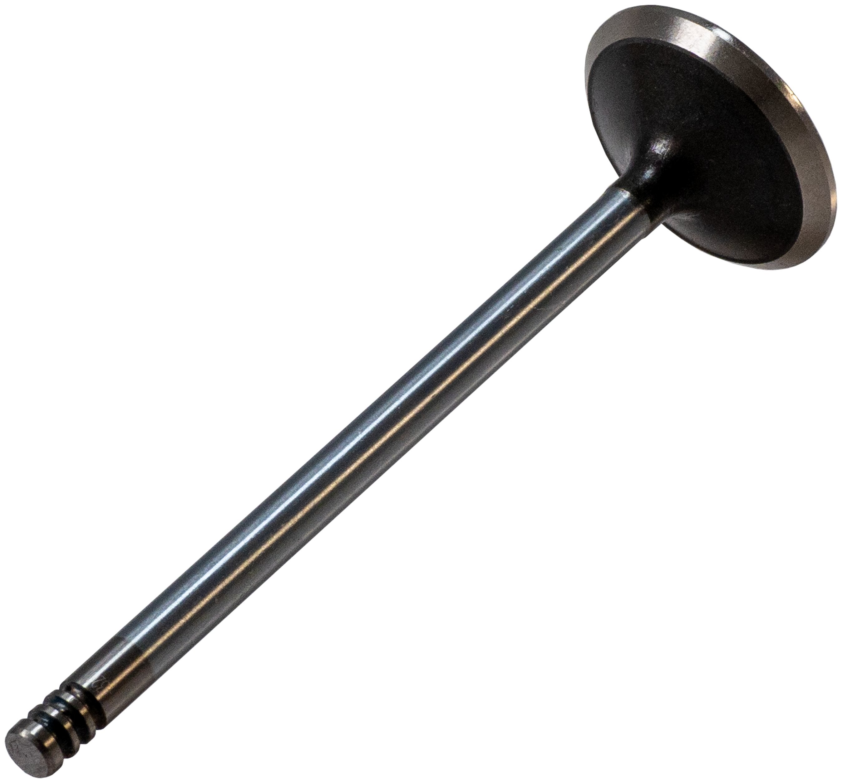 Melling Engine Exhaust Valve  V1791