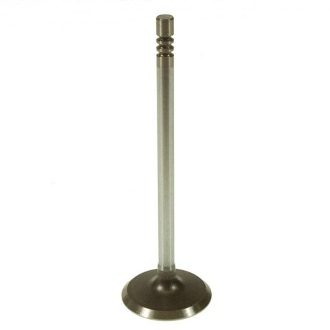 Melling Engine Intake Valve  V1920