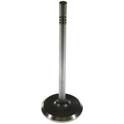 Melling Engine Intake Valve  V1924