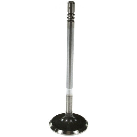 Melling Engine Intake Valve  V2008