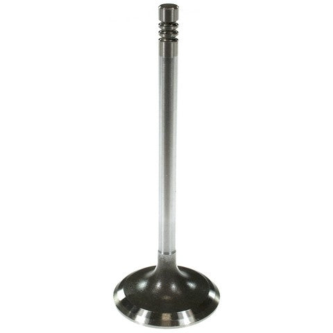 Melling Engine Intake Valve  V2046