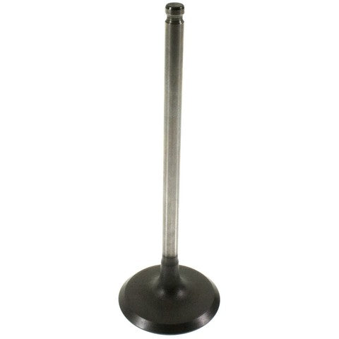 Melling Engine Intake Valve  V3088