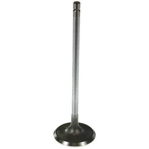 Melling Engine Intake Valve  V3190