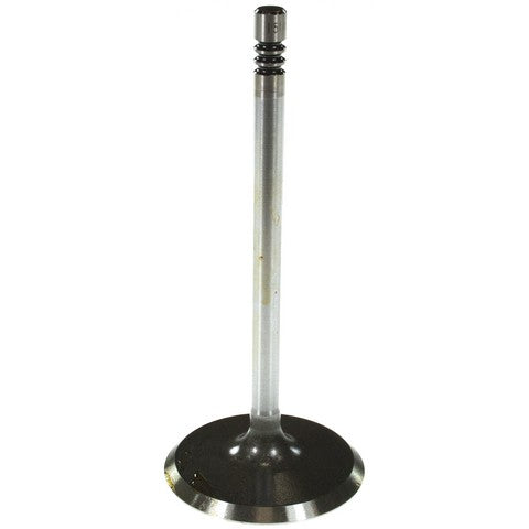 Melling Engine Intake Valve  V3251