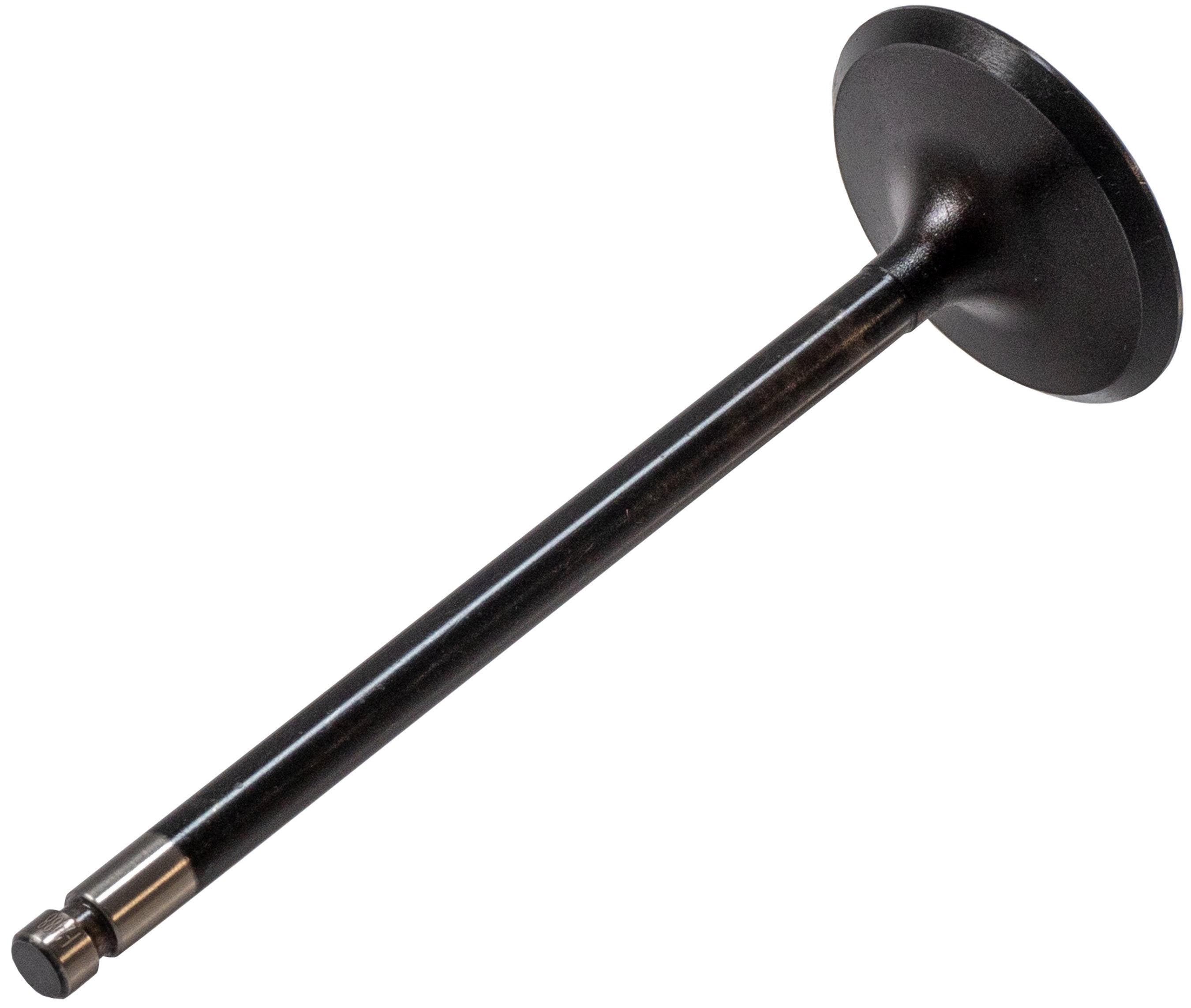 Melling Engine Intake Valve  V5281