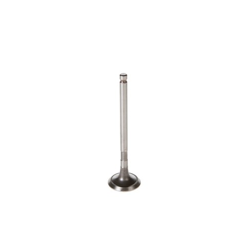 Melling Engine Exhaust Valve  V5306