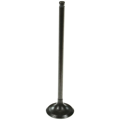 Melling Engine Intake Valve  V5524