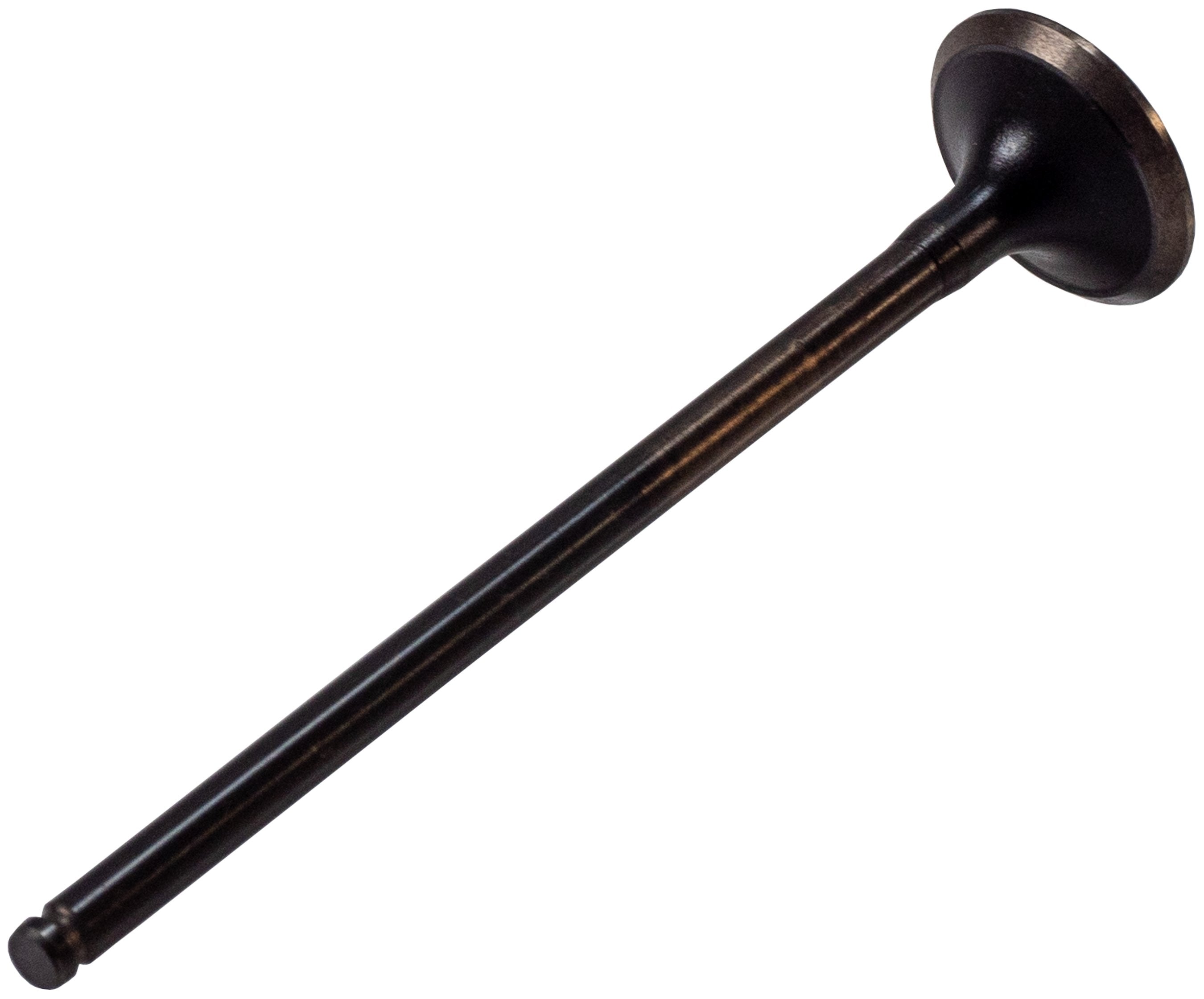 Melling Engine Exhaust Valve  V5525