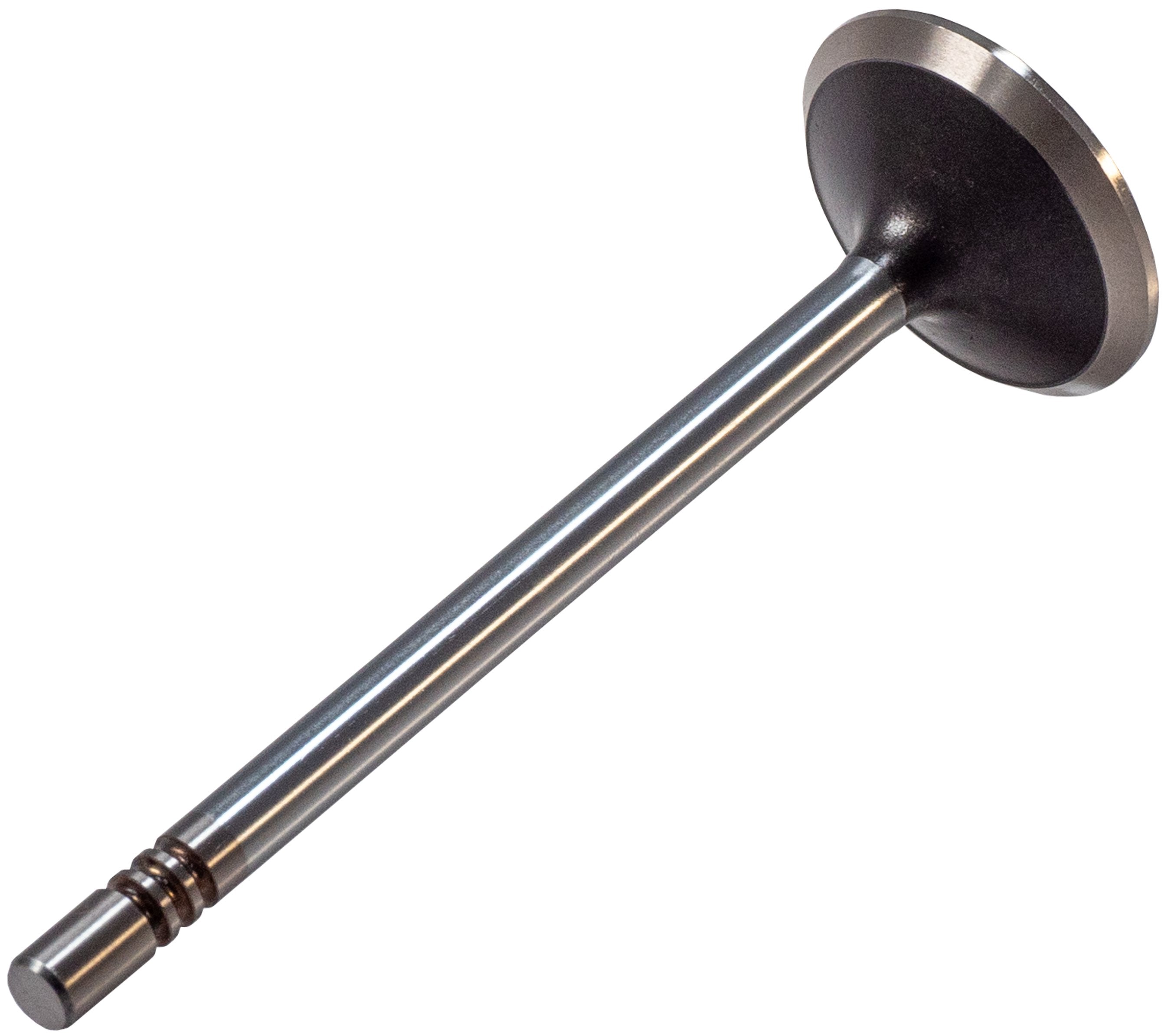 Melling Engine Exhaust Valve  V5560
