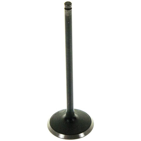 Melling Engine Intake Valve  V5561