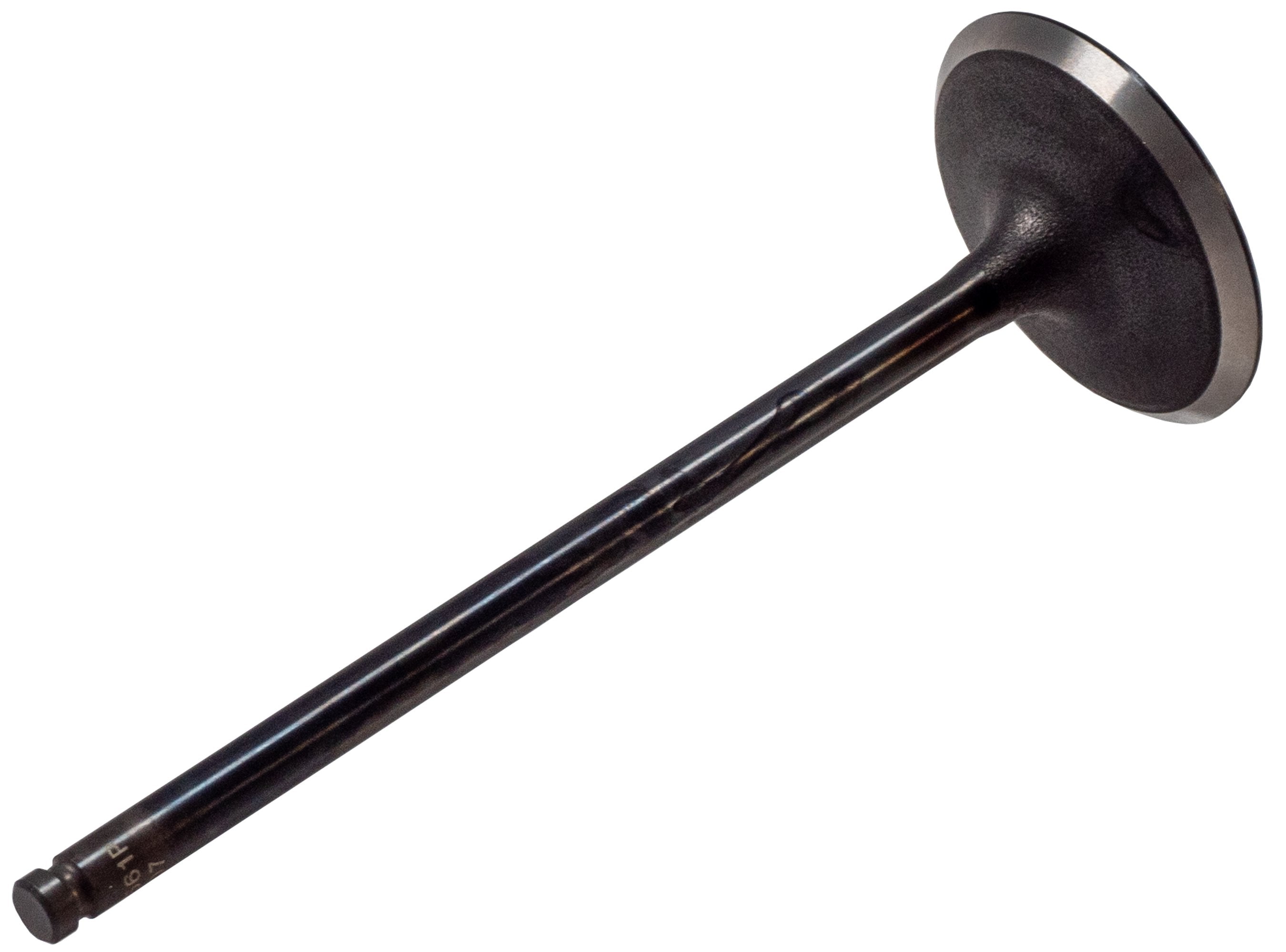 Melling Engine Intake Valve  V5561