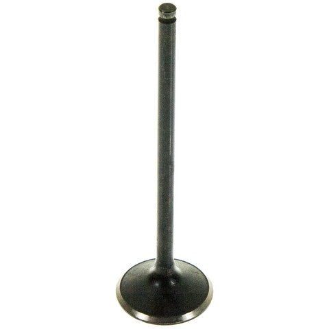 Melling Engine Exhaust Valve  V5562