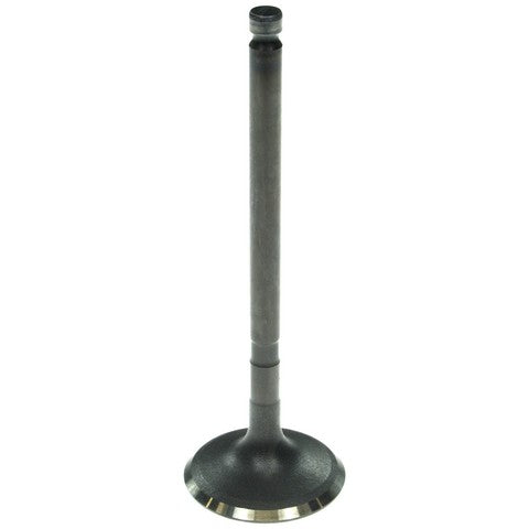 Melling Engine Intake Valve  V5563