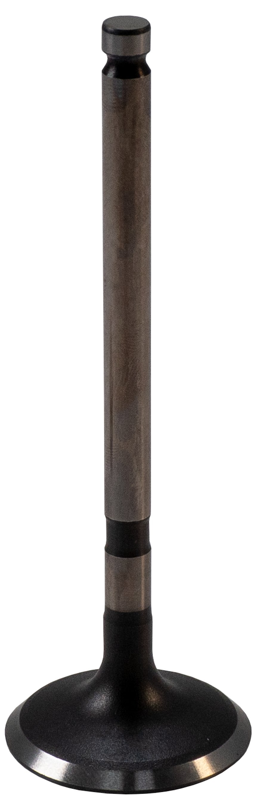 https://sdda.semadata.org/Standard/Melling Engine Parts/V5563-2-FRO.tif