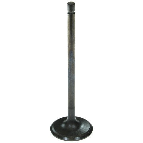 Melling Engine Intake Valve  V5565