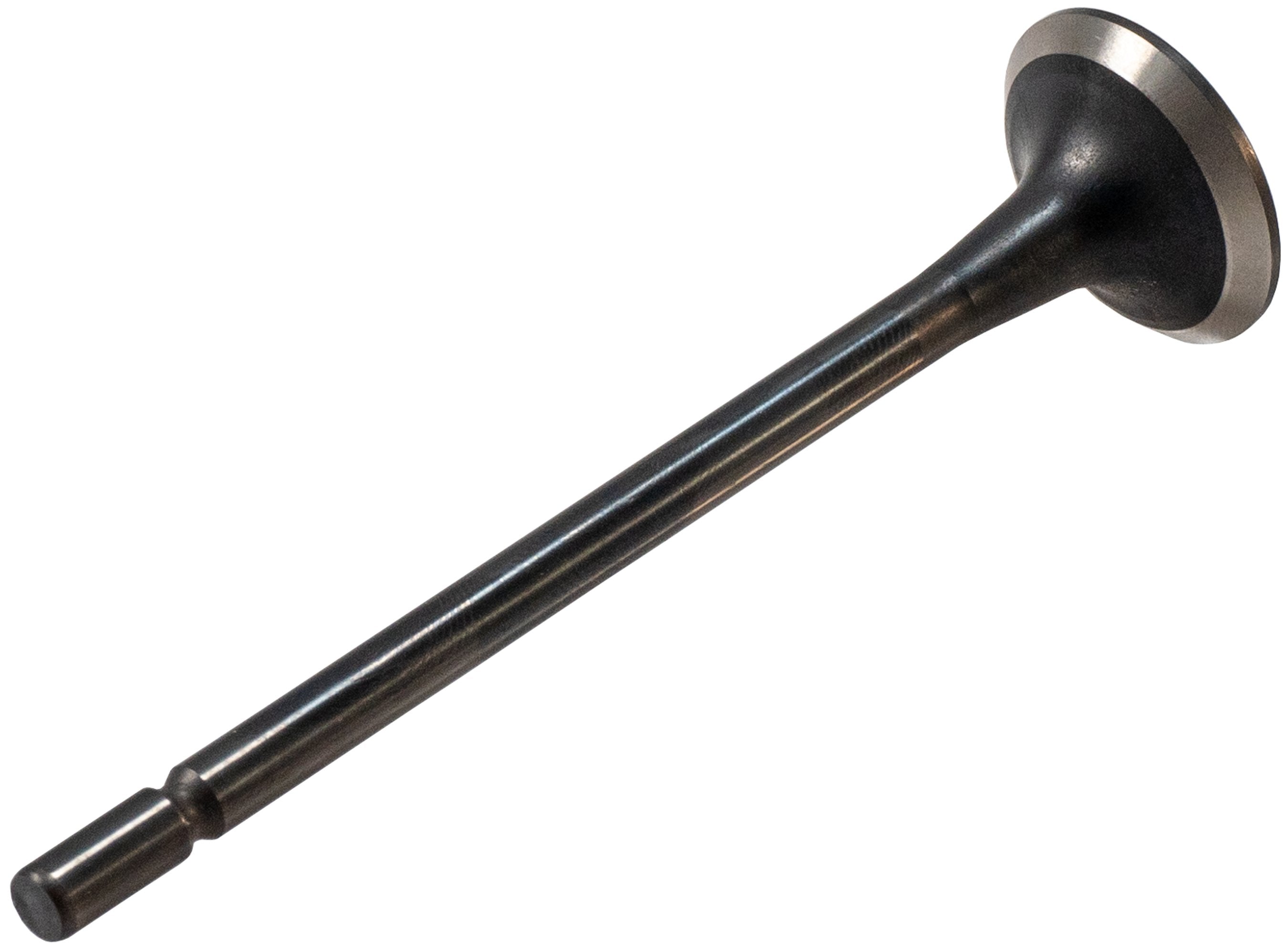 Melling Engine Exhaust Valve  V5567