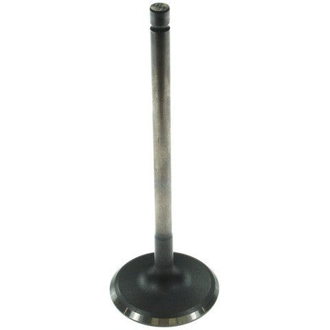 Melling Engine Intake Valve  V5569
