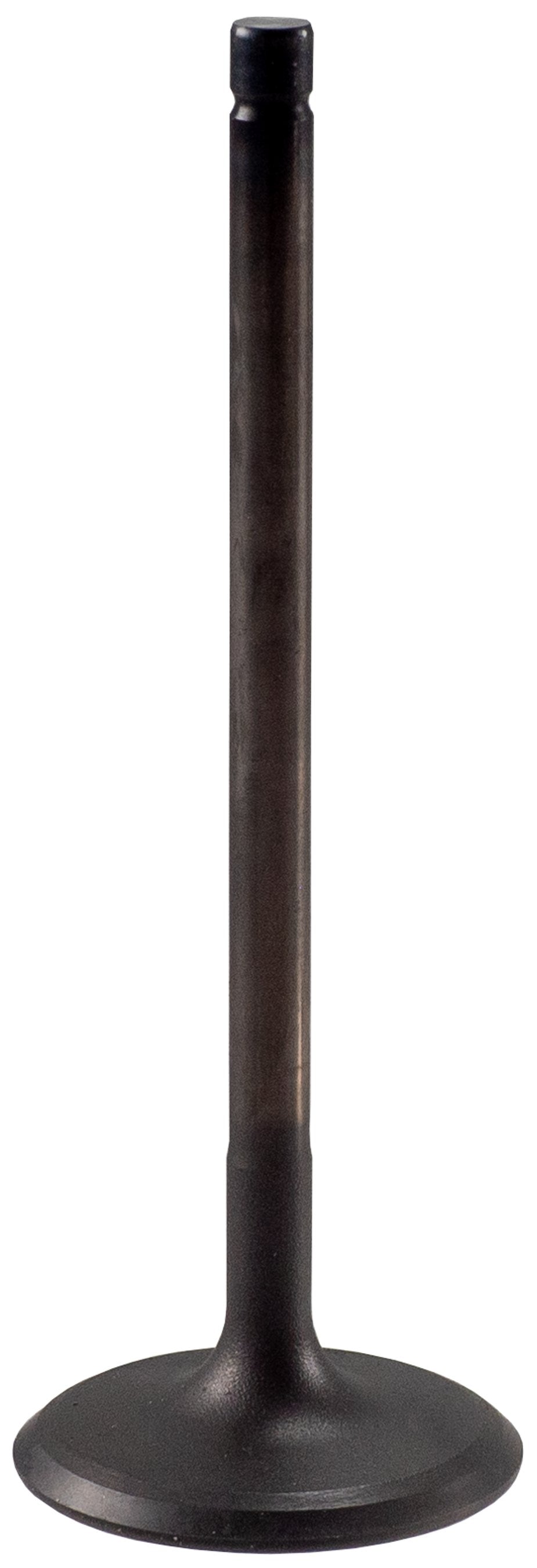 https://sdda.semadata.org/Standard/Melling Engine Parts/V5569-2-FRO.tif