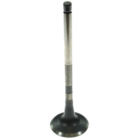 Melling Engine Exhaust Valve  V5570