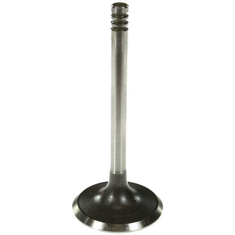 Melling Engine Intake Valve  V5733