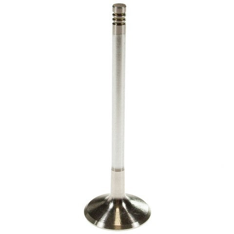Melling Engine Intake Valve  V5784