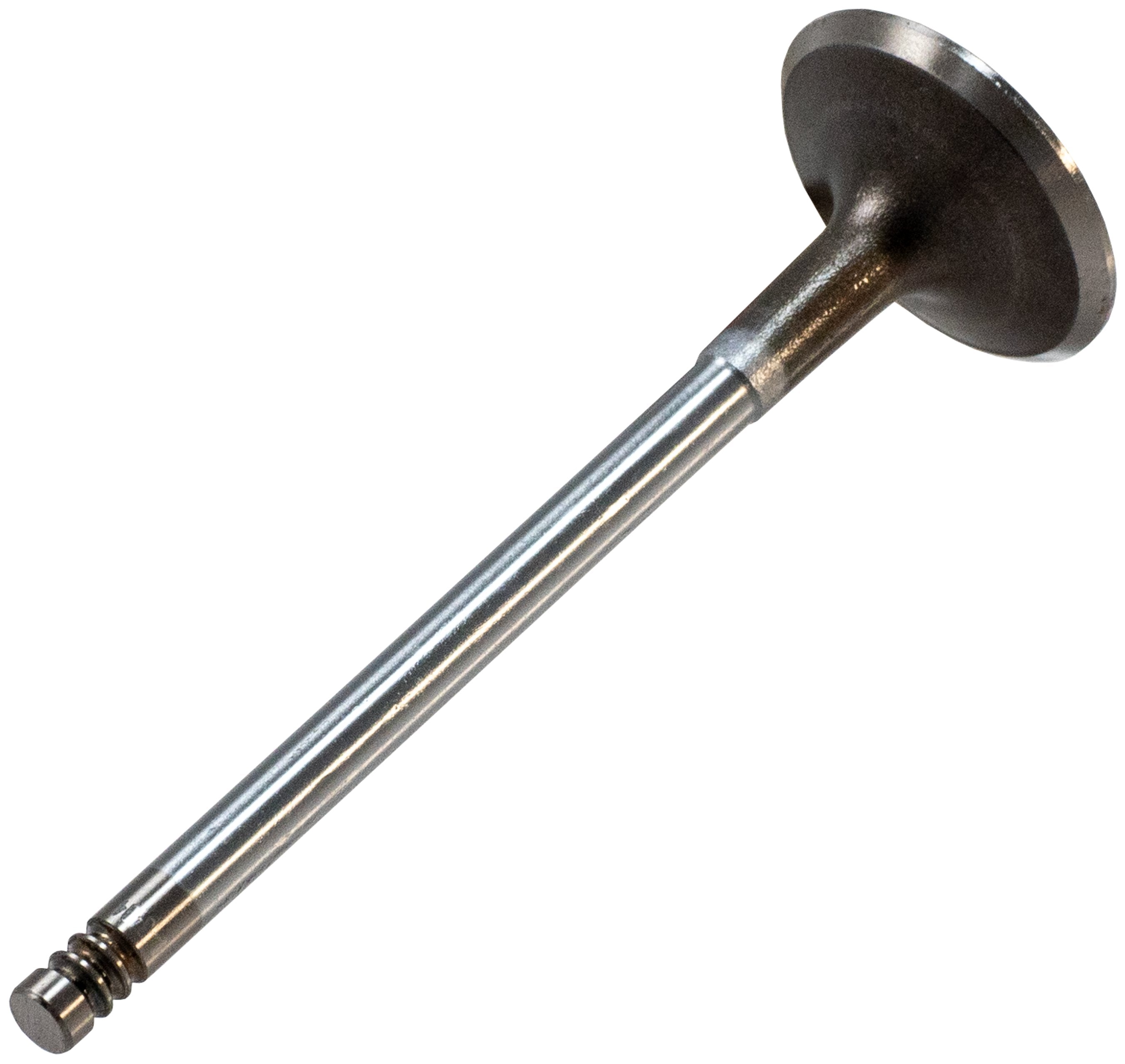Melling Engine Intake Valve  V5784