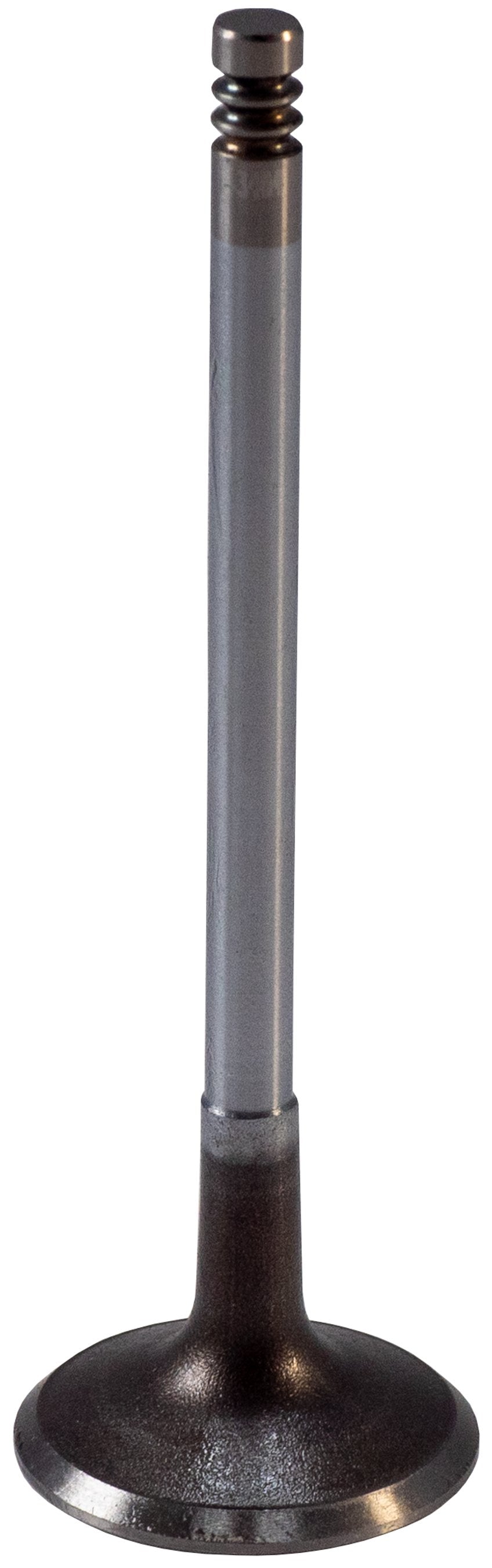 https://sdda.semadata.org/Standard/Melling Engine Parts/V5784-2-FRO.tif