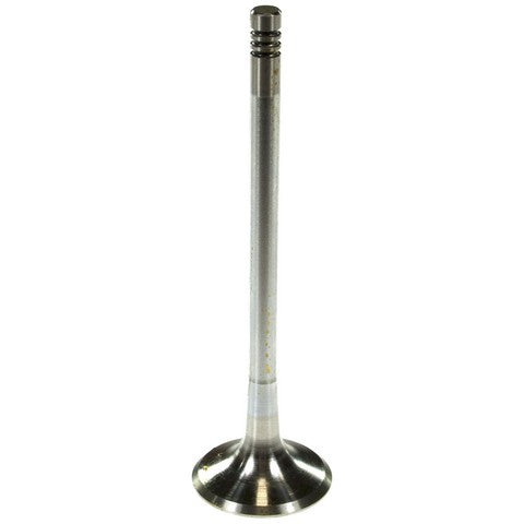 Melling Engine Exhaust Valve  V5803S