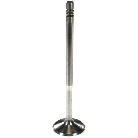 Melling Engine Intake Valve  V5804S
