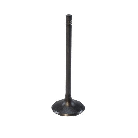 Melling Engine Intake Valve  V5808