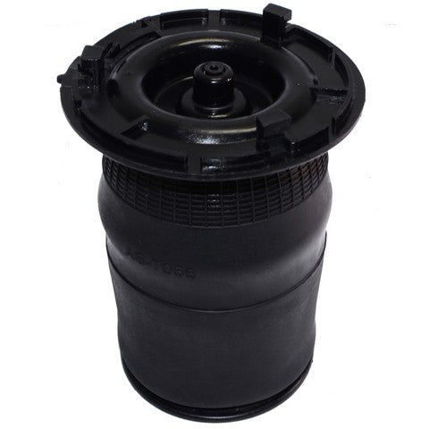 Westar Air Suspension Spring  AS-7056