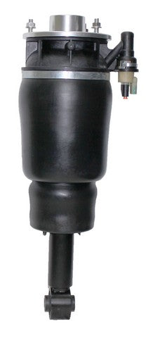 Westar Air Suspension Strut  AS-7315