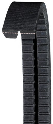 Dayco Accessory Drive Belt  2B17500